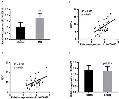 LncRNA LINC00680 Acts as a Competing Endogenous RNA and Is Associated With the Severity of Myasthennia Gravis